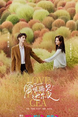 济南网站优化设计文案